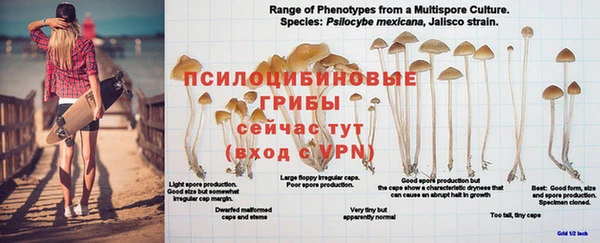 экстази Абинск
