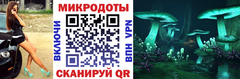 купить  цена  Беломорск  Псилоцибиновые грибы Psilocybine cubensis 